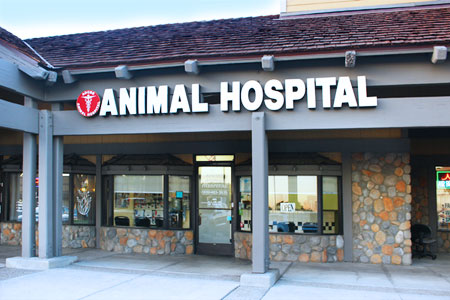 Adobe Animal Hospital Entrance