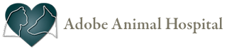 Adobe Animal Hospital