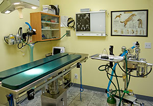 Adobe Animal Hospital Surgery Room